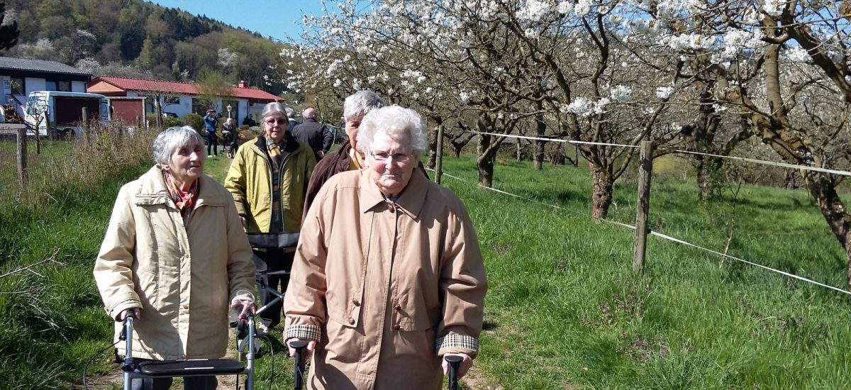 Auf in die Kirschblüte