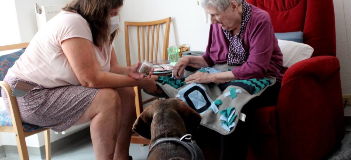 Hunde im Haus: Mike, Emmy und Lotte erfreuen das Hospital St. Elisabeth.