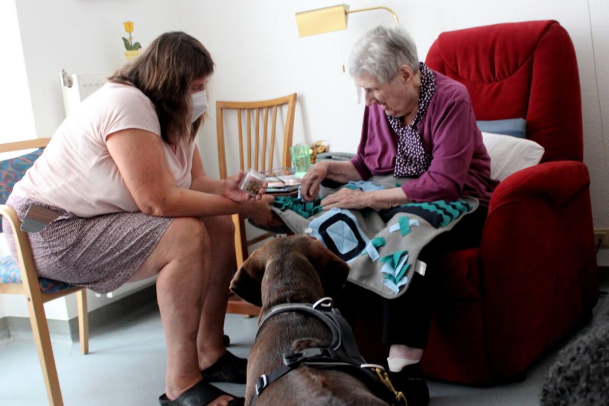 Hunde im Haus: Mike, Emmy und Lotte erfreuen das Hospital St. Elisabeth.